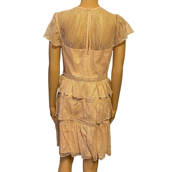 Adrianna Papell Dress Sz8 Pink Lace Fit and Flare Mini Layer Ruffle Fairy Formal - Picture 9 of 10